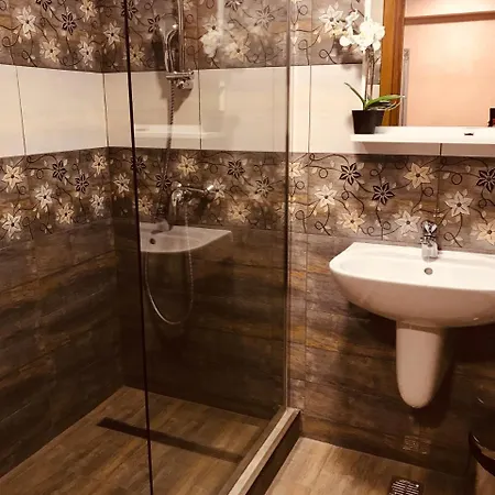 Pensiunea Passion Pensjonat 4*