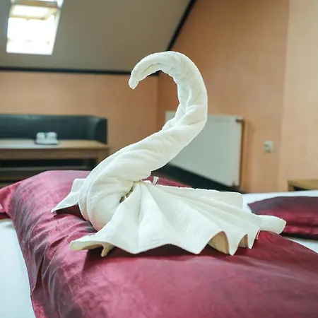 Konukevi Pensiunea Passion