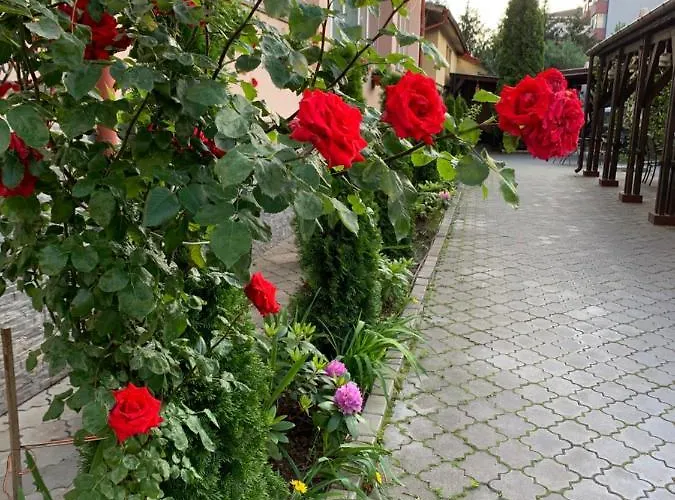 Pensiunea Passion Konukevi 4*