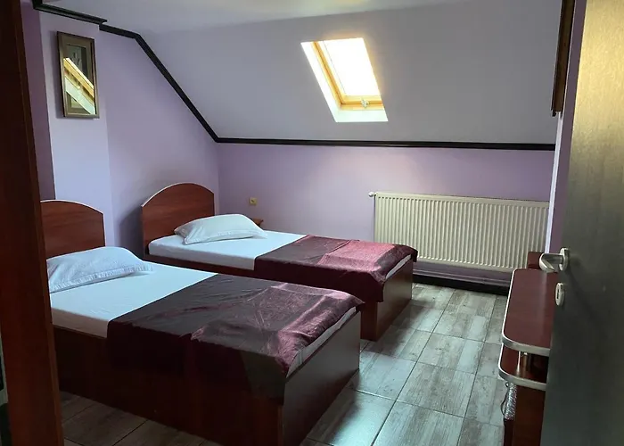 Pensiunea Passion 4*