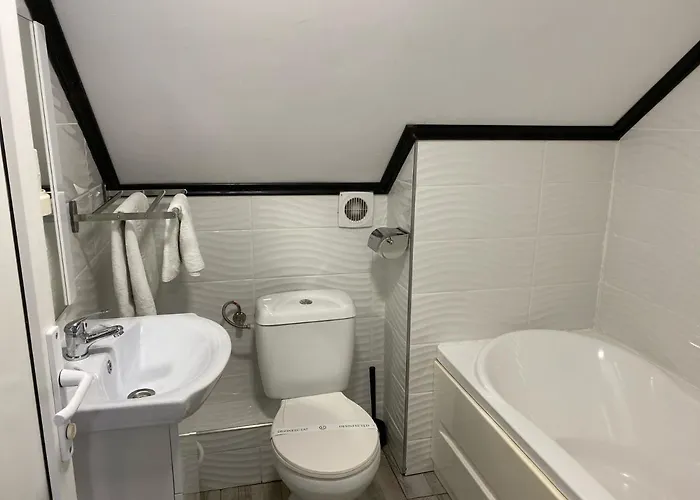 Pensiunea Passion Konukevi 4*