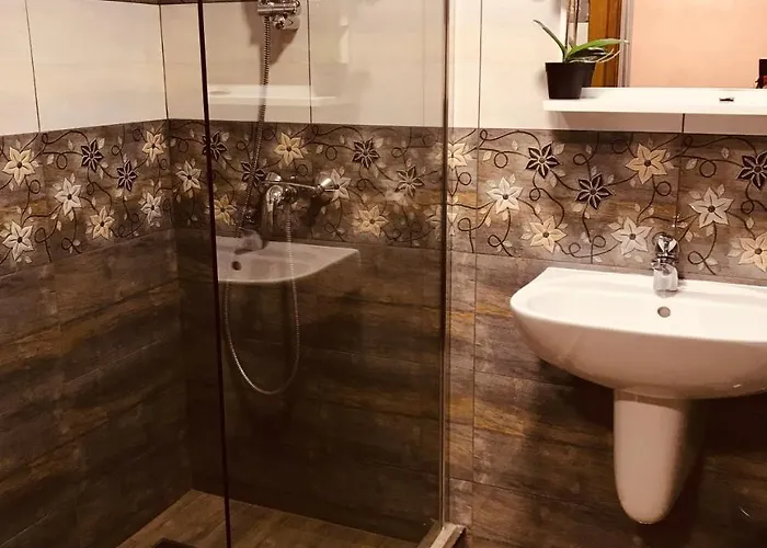 Pensiunea Passion Konukevi 4*