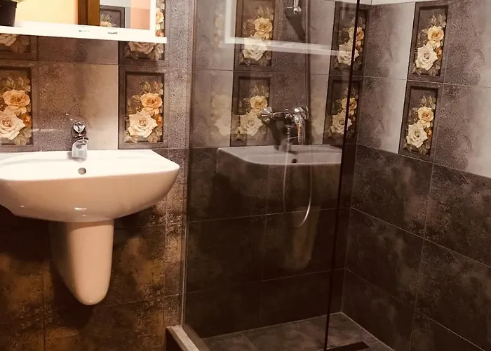 Gæstehus Pensiunea Passion