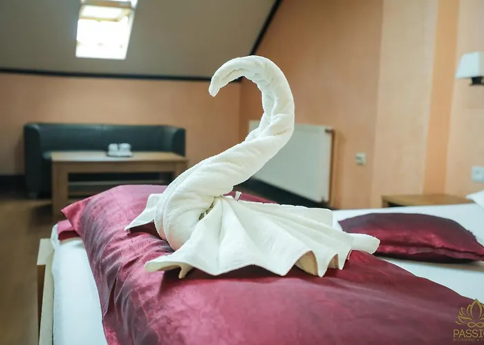 Konukevi Pensiunea Passion