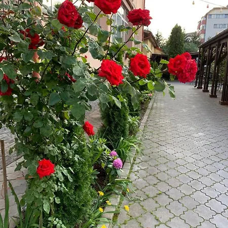 Pensiunea Passion Гостьовий будинок 3*