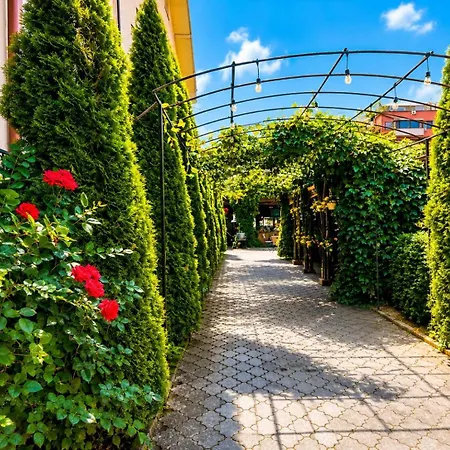 Guest house Pensiunea Passion 4*